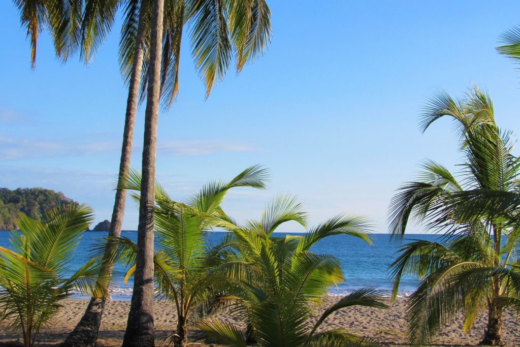 Palmen am Strand mit Meerblick in Costa Rica